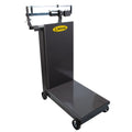 BÁSCULA NOVAL MX-260 | Báscula Mecánica | 260 Kg | uso Rudo | Industria Negocio Bodega Básculas Restaurantes Pesar Tianguis Restaurante Verduras Carnes Plataforma Carniceria Cremeria Contadora Cargar Uso Industrial