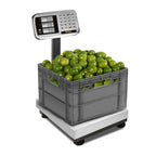 BÁSCULA PLATAFORMA RHINO BP-80 | Báscula de Plataforma | 80 Kg | Plegable | Acero Inoxidable | Paquetería Almacen Bodega